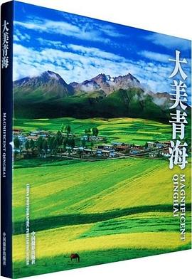 大美青海的海报