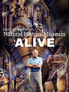 自然纪录片《爱丁保罗夫爷爷的博物馆奇妙夜 David Attenborough's Natural History Museum Alive》下载-零三纪录片资源网