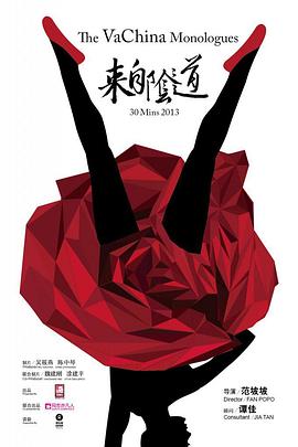 来自阴道的海报