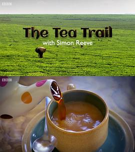 旅行，美食纪录片《和西蒙·里夫一起寻茶 The Tea Trail with Simon Reeve》下载-零三纪录片资源网