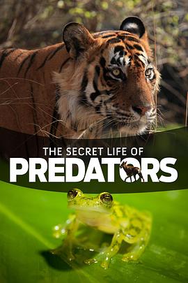自然纪录片《掠食动物生存战 Secret Life of Predators》下载-零三纪录片资源网