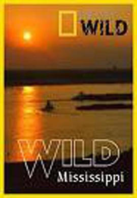 人文地理纪录片《野性密西西比 Wild Mississippi》下载-零三纪录片资源网