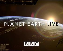 自然纪录片《地球生存录 第二季 Planet Earth Live Season 2》下载-零三纪录片资源网