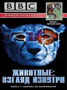 自然纪录片《透视动物 Animal The Inside Story》下载-零三纪录片资源网