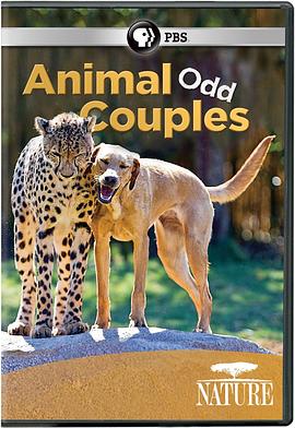 纪录片《奇特的动物伙伴 Animal Odd Couples》下载-零三纪录片资源网