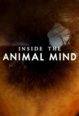 自然纪录片《动物心智 Inside the Animal Mind》下载-零三纪录片资源网