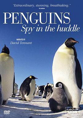 企鹅群里有特务 Penguins: Spy in the Huddle的海报