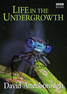 自然纪录片《灌丛下的生命 Life in the Undergrowth》下载-零三纪录片资源网