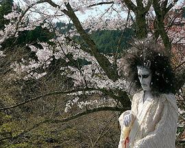 纪录片《裸夏 裸の夏》下载-零三纪录片资源网