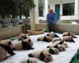 自然纪录片《荒野救援 Operation Wild》下载-零三纪录片资源网