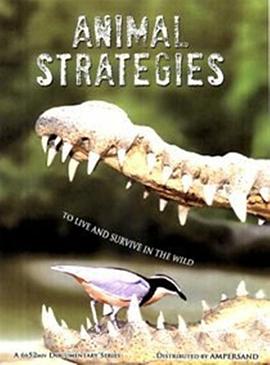 自然纪录片《动物生存秘籍 Stratégies animales》下载-零三纪录片资源网