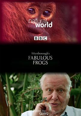 自然纪录片《大自然：爱登保罗爷爷带你看绝妙的蛙 Nature: Attenborough's Fabulous Frogs》下载-零三纪录片资源网