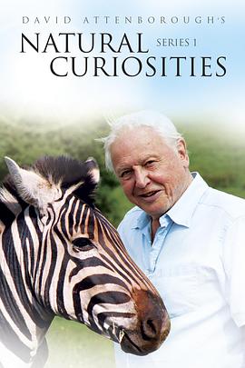 自然纪录片《自然趣闻 第一季 David Attenborough's Natural Curiosities Season 1》下载-零三纪录片资源网