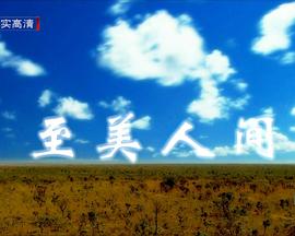 人文地理纪录片《至美人间 Beautiful World》下载-零三纪录片资源网