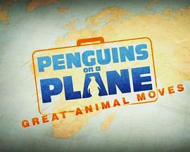 飞机上的企鹅:伟大的动物运动 Penguins on a Plane: Great Animal Moves的海报