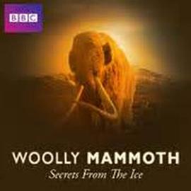 自然纪录片《揭秘冰层中的巨兽——猛犸 Woolly Mammoth: Secrets from the Ice》下载-零三纪录片资源网