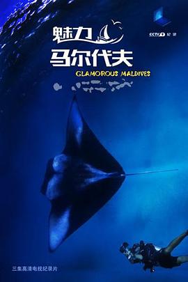 人文地理纪录片《魅力马尔代夫》下载-零三纪录片资源网