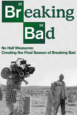 真人秀&舞台纪录片《绝不折中：绝命毒师最终季制作记录 No Half Measures: Creating the Final Season of Breaking Bad》下载-零三纪录片资源网