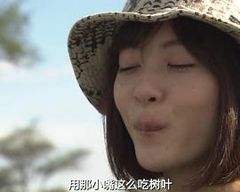 旅行纪录片《地球46亿年冒险之旅 地球46億年冒険の旅》下载-零三纪录片资源网