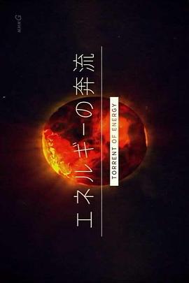 商业金融纪录片《能源的湍流 エネルギーの奔流》下载-零三纪录片资源网