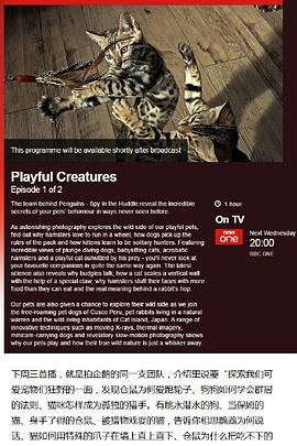 自然纪录片《宠物：内心狂野 Pets - Wild at Heart》下载-零三纪录片资源网