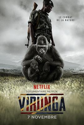 社会生活纪录片《维龙加 Virunga》下载-零三纪录片资源网