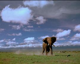 自然纪录片《非洲的大象王国 Africa's Elephant Kingdom》下载-零三纪录片资源网