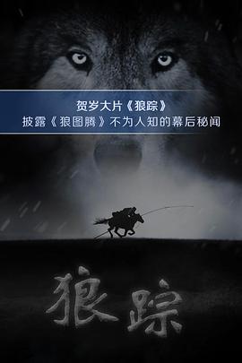 狼踪的海报