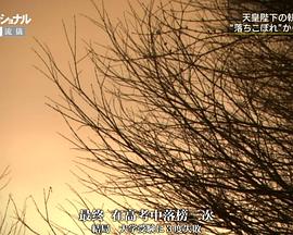 外科医生天野笃 一心一意 搭建未来 仕事の流儀 一途一心 明日をつむぐ 心臓外科医 天野篤的海报