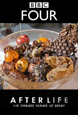 科学纪录片《生命循环:奇异的腐烂科学 After Life: The Strange Science of Decay》下载-零三纪录片资源网