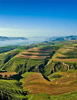 人文地理纪录片《黄土大塬》下载-零三纪录片资源网