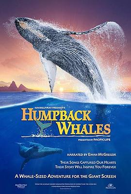 自然纪录片《座头鲸 Humpback Whales》下载-零三纪录片资源网