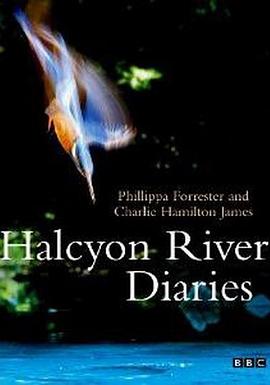 纪录片《翠鸟河日记 Halcyon River Diaries》下载-零三纪录片资源网