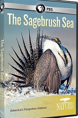 自然纪录片《自然：灌木蒿海洋 Nature – The Sagebrush Sea》下载-零三纪录片资源网