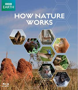 自然纪录片《自然的运作 How Nature Works》下载-零三纪录片资源网
