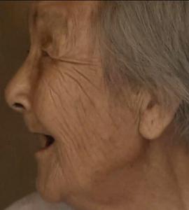 凤凰大视野 最后的“慰安妇”的海报