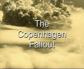 历史纪录片《哥本哈根的余烬 The Copenhagen Fallout》下载-零三纪录片资源网