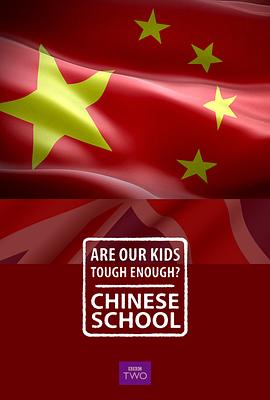 社会生活纪录片《我们的孩子足够坚强吗？中式学校 Are Our Kids Tough Enough? Chinese School》下载-零三纪录片资源网