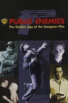 艺术纪录片《公众之敌：黑帮电影的黄金时代 Public Enemies: The Golden Age of the Gangster Film》下载-零三纪录片资源网