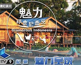 人文地理纪录片《魅力印度尼西亚》下载-零三纪录片资源网