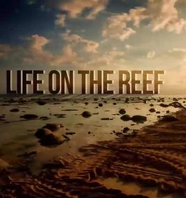 自然纪录片《跃动大堡礁 第一季 Life on the Reef Season 1》下载-零三纪录片资源网