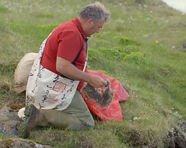 自然世界:冰岛:冰与火的国度 Natural World: Iceland: Land of Ice and Fire的海报