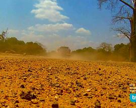 宝石猎人 第一季 Gem Hunt Season 1的海报