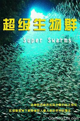 自然纪录片《超级群体 Superswarms》下载-零三纪录片资源网