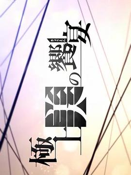 纪录片《极上美的飨宴 極上美の饗宴》下载-零三纪录片资源网