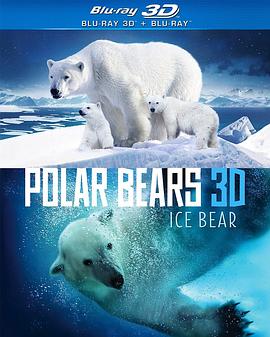 北极熊冰熊 Polar Bears Ice Bear的海报