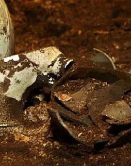 人文地理纪录片《考古进行时》下载-零三纪录片资源网