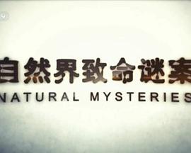 自然纪录片《自然界致命谜案 Natural Mysteries》下载-零三纪录片资源网