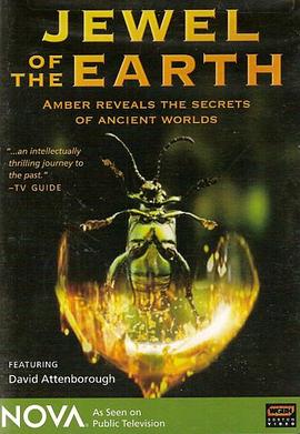 自然纪录片《琥珀昆虫 Jewel.of.the.Earth.》下载-零三纪录片资源网