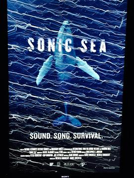 自然纪录片《噪音海洋 Sonic Sea》下载-零三纪录片资源网